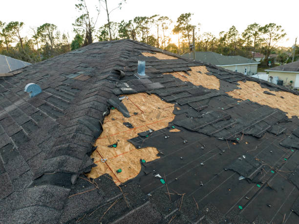 Best Roof Moss and Algae Removal  in Allouez, WI